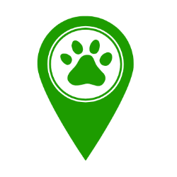 Canine Camp